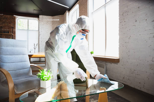 Why You Should Choose Our Mold Remediation Services in Basalt, CO